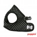 DOTTY HARNESS B